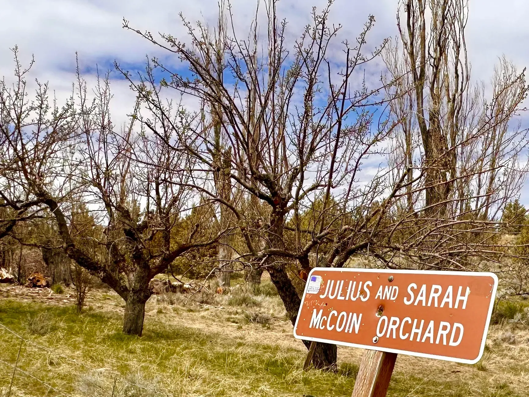 Julius and Sarah McCoin Orchard
